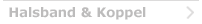 Halsband och Koppel